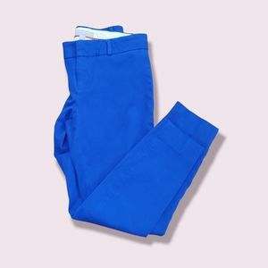Banana Republic Blue Sloan Pants, size 2